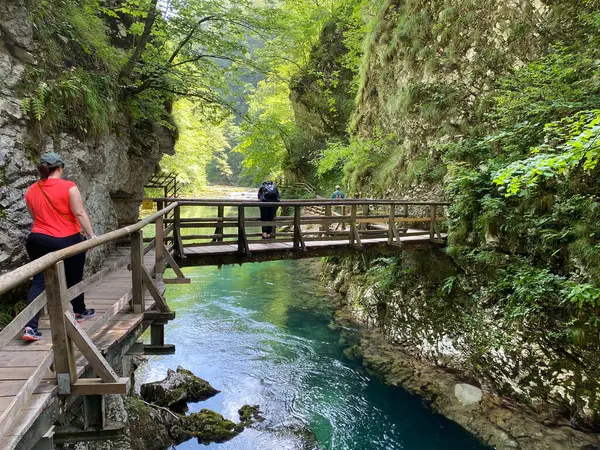 Wanderweg Durch Die Vintgar Schlucht Oder Vintgarklamm Bled Slowenien Triglav — Stockfoto