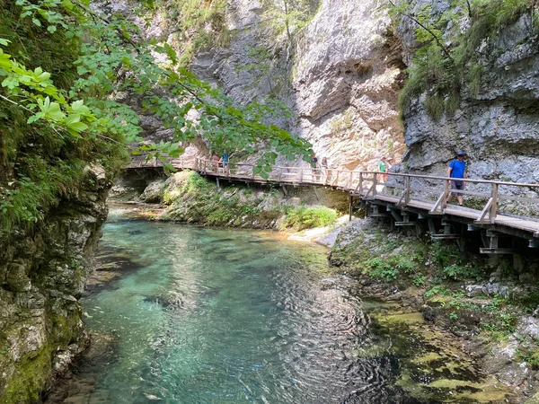 Túraútvonal Vintgar Szurdokon Vagy Bled Szurdokon Keresztül Bled Szlovénia Triglav — Stock Fotó