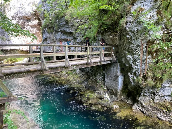 Wanderweg Durch Die Vintgar Schlucht Oder Vintgarklamm Bled Slowenien Triglav — Stockfoto