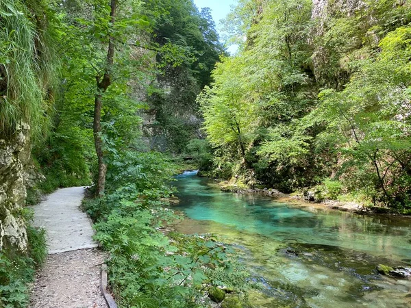 Túraútvonal Vintgar Szurdokon Vagy Bled Szurdokon Keresztül Bled Szlovénia Triglav — Stock Fotó