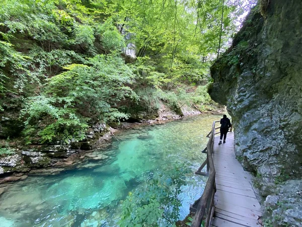 Szlak Turystyczny Przez Wąwóz Vintgar Lub Wąwóz Bled Bled Słowenia — Zdjęcie stockowe