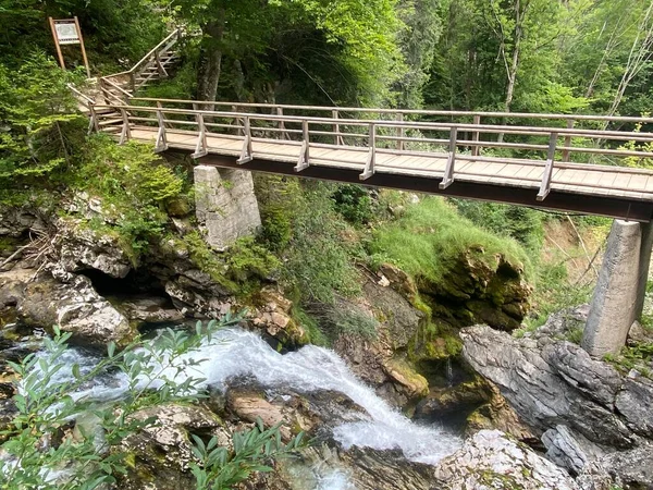 Suma Caídas Garganta Vintgar Bled Gorge Bled Eslovenia Parque Nacional — Foto de Stock