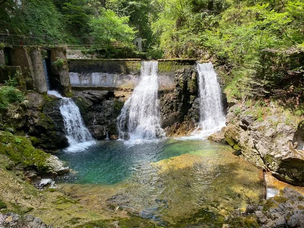 Sum Falls Vintgar Gorge Bled Gorge Bled Slovenia Parco Nazionale — Foto Stock