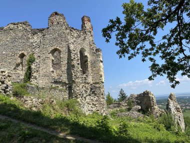 Kale kalesi Ruzica mezunu veya Utvrda Ruzica mezunu ili Tvrdjava Ruzica mezunu, Duzluk - Orahovica, Hırvatistan (Slavonija, Hrvatska)