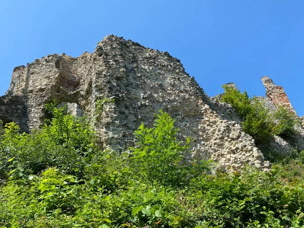 Castillo Fortaleza Ruzica Grad Utvrda Ruzica Grad Ili Tvrdjava Ruzica —  Fotos de Stock