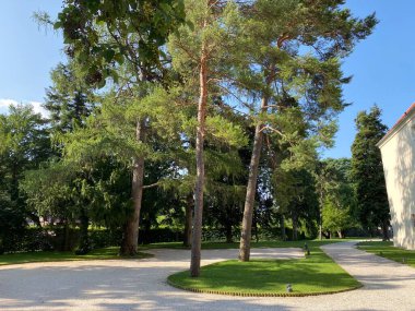 Hırvatistan 'ın Kutjevu kentindeki Turkoviç şatosu etrafındaki bir park ya da park anıtı (Park u Kutjevu spomenik parkovne arhitekture ili perivoj oko dvorca Turkovic u Kutjevu, Hrvatska)