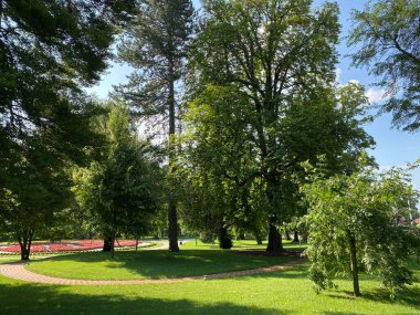Hırvatistan 'ın Kutjevu kentindeki Turkoviç şatosu etrafındaki bir park ya da park anıtı (Park u Kutjevu spomenik parkovne arhitekture ili perivoj oko dvorca Turkovic u Kutjevu, Hrvatska)