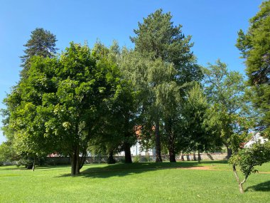 Hırvatistan 'ın Kutjevu kentindeki Turkoviç şatosu etrafındaki bir park ya da park anıtı (Park u Kutjevu spomenik parkovne arhitekture ili perivoj oko dvorca Turkovic u Kutjevu, Hrvatska)