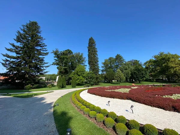 Park Kutjewie Pomnik Architektury Parku Lub Parku Wokół Zamku Turkovic — Zdjęcie stockowe