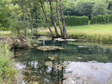Bistrac kaynağı veya Desmerice 'deki Bistrac deresinin su kaynağı - Ogulin, Hırvatistan (Izvor vode Bistrac ili vrelo potoka Bistrac u Desmericama - Ogulin, Hrvatska)