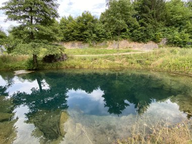 Bistrac kaynağı veya Desmerice 'deki Bistrac deresinin su kaynağı - Ogulin, Hırvatistan (Izvor vode Bistrac ili vrelo potoka Bistrac u Desmericama - Ogulin, Hrvatska)