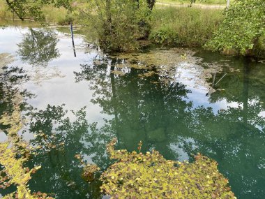 Bistrac kaynağı veya Desmerice 'deki Bistrac deresinin su kaynağı - Ogulin, Hırvatistan (Izvor vode Bistrac ili vrelo potoka Bistrac u Desmericama - Ogulin, Hrvatska)