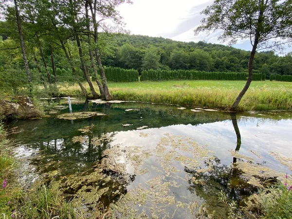 Bistrac spring or the water source of the Bistrac stream in Desmerice - Ogulin, Croatia (Izvor vode Bistrac ili vrelo potoka Bistrac u Desmericama - Ogulin, Hrvatska)