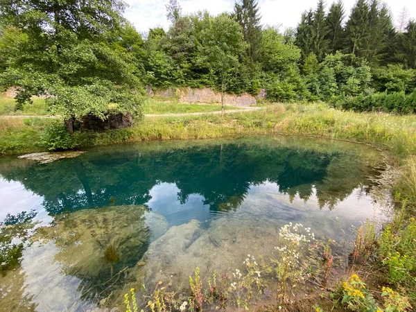 Source Bistrac Source Eau Ruisseau Bistrac Desmerice Ogulin Croatie Izvor — Photo