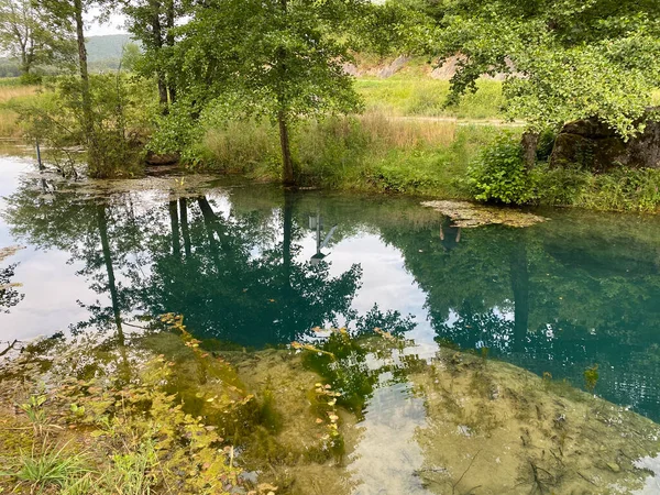 Source Bistrac Source Eau Ruisseau Bistrac Desmerice Ogulin Croatie Izvor — Photo