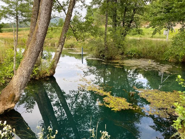 Source Bistrac Source Eau Ruisseau Bistrac Desmerice Ogulin Croatie Izvor — Photo