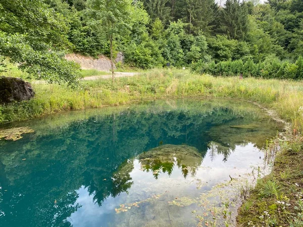 Bistrac Nascente Fonte Água Riacho Bistrac Desmerice Ogulin Croácia Izvor — Fotografia de Stock