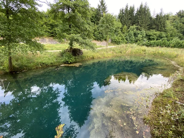 Bistrac Nascente Fonte Água Riacho Bistrac Desmerice Ogulin Croácia Izvor — Fotografia de Stock