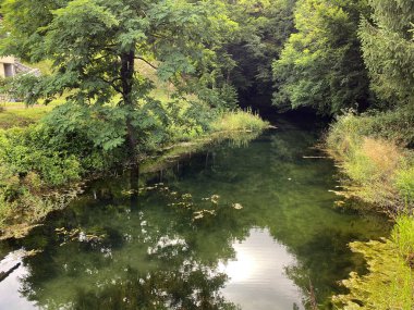 Desmerice 'deki Zagorska Tepesi veya Zagorska Mağarası' nın su kaynağı - Ogulin, Hırvatistan (Izvor vode Zagorska Pec u Desmericama ili vrelo podno spilje Zagorska Pec, Desmerice - Ogulin, Hrvatska)