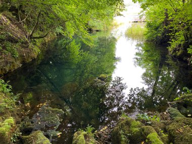 Desmerice 'deki Zagorska Tepesi veya Zagorska Mağarası' nın su kaynağı - Ogulin, Hırvatistan (Izvor vode Zagorska Pec u Desmericama ili vrelo podno spilje Zagorska Pec, Desmerice - Ogulin, Hrvatska)