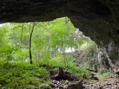 Desmerice 'deki Zagorska Mağarası veya Zagorska Mağarası - Hırvatistan' ın Ogulin kenti (Spilja Zagorska pec ili Zagorska pecina u Desmericama - Ogulin, Hrvatska)