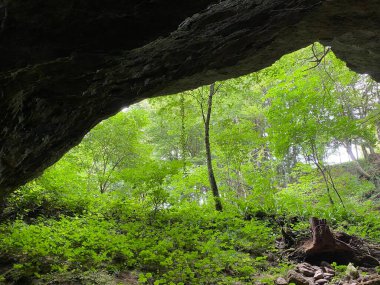 Desmerice 'deki Zagorska Mağarası veya Zagorska Mağarası - Hırvatistan' ın Ogulin kenti (Spilja Zagorska pec ili Zagorska pecina u Desmericama - Ogulin, Hrvatska)