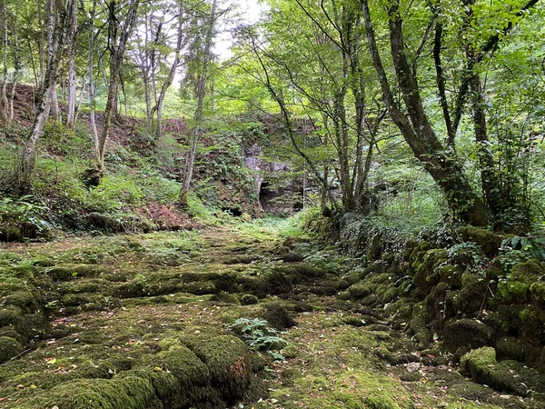 Pietre Ricoperte Tufo Muschio Nel Letto Del Torrente Sotto Grotta — Foto Stock