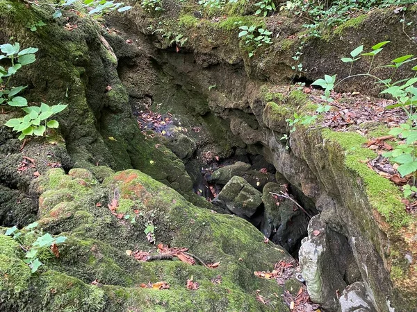 Piedras Cubiertas Toba Musgo Lecho Del Arroyo Bajo Cueva Zagorska — Foto de Stock