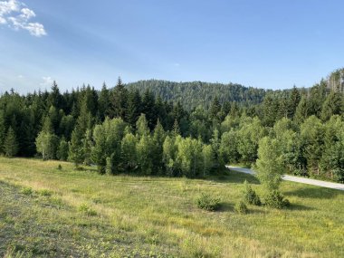 Lepenica Gölü boyunca uzanan çayırlar ve Gorski kotar 'ın çevresini çevreleyen karışık ormanlarla park - Fuzine, Hırvatistan (Park s livadama uz jezero Lepenica i okolnu mjesovitu sumu Gorskog kotara - Fuzine, Hrvatska)