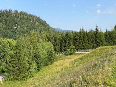 Lepenica Gölü boyunca uzanan çayırlar ve Gorski kotar 'ın çevresini çevreleyen karışık ormanlarla park - Fuzine, Hırvatistan (Park s livadama uz jezero Lepenica i okolnu mjesovitu sumu Gorskog kotara - Fuzine, Hrvatska)