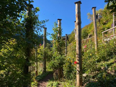 Gül Bahçesi Uhrerhof (Avrupa 'nın en yüksek gül bahçesi) veya Rosarium Uhrerhof (Hoechstgelegener Rosengarten Europas) veya Roseto Ortisei - Güney Tyrol, İtalya (Suedtirol, Italien))