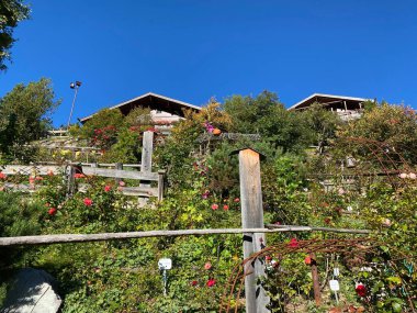 Gül Bahçesi Uhrerhof (Avrupa 'nın en yüksek gül bahçesi) veya Rosarium Uhrerhof (Hoechstgelegener Rosengarten Europas) veya Roseto Ortisei - Güney Tyrol, İtalya (Suedtirol, Italien))
