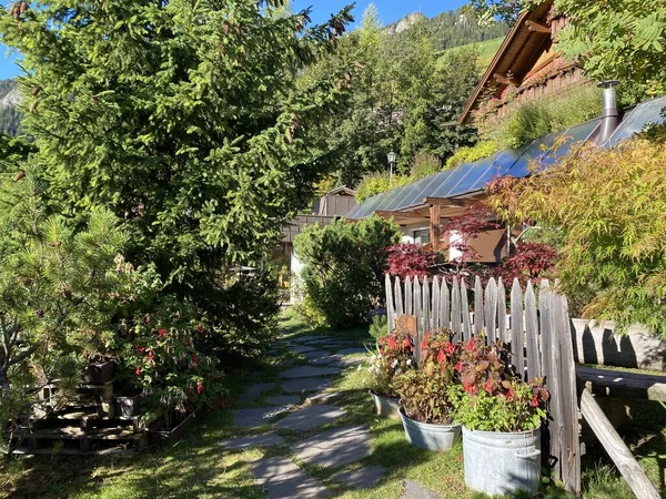 Rose Garden Uhrerhof Najwyższy Ogród Różany Europie Lub Rosarium Uhrerhof — Zdjęcie stockowe