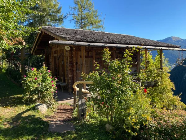 Rose Garden Uhrerhof Nejvyšší Růžová Zahrada Evropě Nebo Rosarium Uhrerhof — Stock fotografie