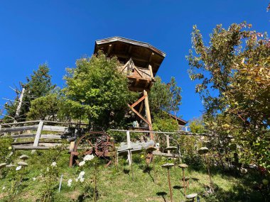 Gül Bahçesi Uhrerhof (Avrupa 'nın en yüksek gül bahçesi) veya Rosarium Uhrerhof (Hoechstgelegener Rosengarten Europas) veya Roseto Ortisei - Güney Tyrol, İtalya (Suedtirol, Italien))