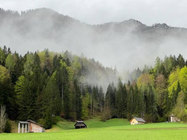 Slovenya - Julischen Alpen nach, Slowenien 'deki Fruehlingsstimung, Julian Alplerinde bahar atmosferi