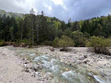 Julian Alplerindeki Martuljek Deresi, Gozd Martuljek (Slovenya, Triglav Ulusal Parkı) - Bach Martuljek in den Julischen Alpen, Gozd Martuljek (Slowenien, Nationalpark Triglav)