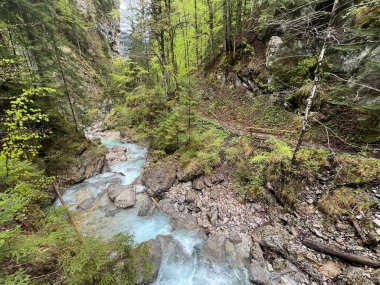 Martuljek Vadisi Julian Alpleri, Gozd Martuljek (Slovenya, Triglav Milli Parkı) - Martuljek Schlucht in den Julischen Alpen, Gozd Martuljek (Slowenien, Nationalpark Triglav) - Martuljska soteska