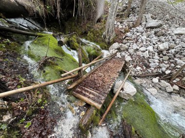 The spring at Mrzlih Vodah in the Julian Alps (Slovenia, Triglav National Park) - Die Quelle bei Mrzlih Vodah in den Julischen Alpen (Slowenien, Nationalpark Triglav) - Izvir pri Mrzlih Vodah (Slovenija, Triglavski narodni park)