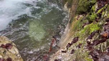 Jerman's waterfalls on the Jerman stream in the Julian Alps (Gozd Martuljek, Slovenia) - Jermans Wasserfaelle am Jerman-Bach in den Julischen Alpen (Gozd Martuljek, Slowenien) - Jermanovi slapovi