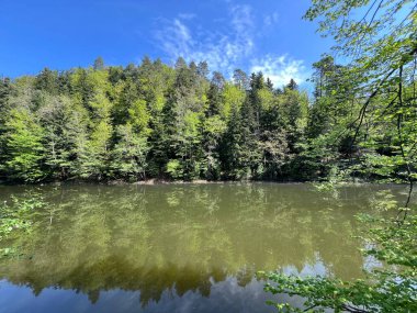 Yapay Trakoscan Gölü (Zagorje, Hırvatistan) - Die - Trakoscan oder kuenstlicher Trakoscansee (Kroatien) - Umjetno jezero ili Trakoscansko jezero (Hrvatsko zagorje, Hrvatska)