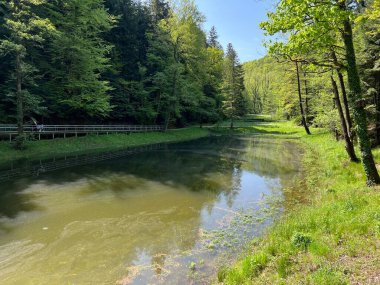 Yapay Trakoscan Gölü (Zagorje, Hırvatistan) - Die - Trakoscan oder kuenstlicher Trakoscansee (Kroatien) - Umjetno jezero ili Trakoscansko jezero (Hrvatsko zagorje, Hrvatska)