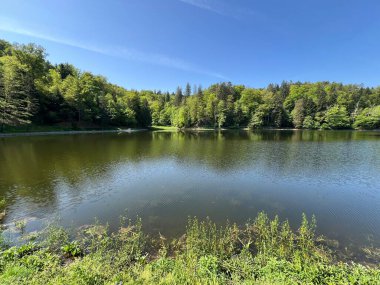 Yapay Trakoscan Gölü (Zagorje, Hırvatistan) - Die - Trakoscan oder kuenstlicher Trakoscansee (Kroatien) - Umjetno jezero ili Trakoscansko jezero (Hrvatsko zagorje, Hrvatska)