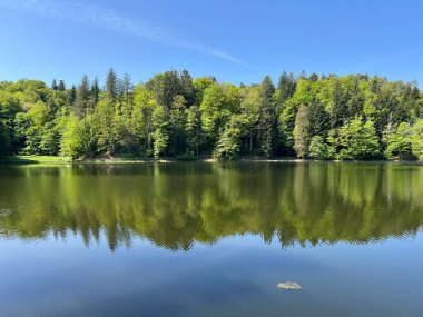 Yapay Trakoscan Gölü (Zagorje, Hırvatistan) - Die - Trakoscan oder kuenstlicher Trakoscansee (Kroatien) - Umjetno jezero ili Trakoscansko jezero (Hrvatsko zagorje, Hrvatska)
