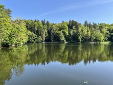 Yapay Trakoscan Gölü (Zagorje, Hırvatistan) - Die - Trakoscan oder kuenstlicher Trakoscansee (Kroatien) - Umjetno jezero ili Trakoscansko jezero (Hrvatsko zagorje, Hrvatska)