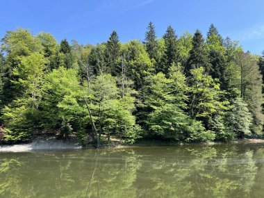 Yapay Trakoscan Gölü (Zagorje, Hırvatistan) - Die - Trakoscan oder kuenstlicher Trakoscansee (Kroatien) - Umjetno jezero ili Trakoscansko jezero (Hrvatsko zagorje, Hrvatska)