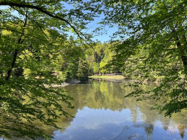 Yapay Trakoscan Gölü (Zagorje, Hırvatistan) - Die - Trakoscan oder kuenstlicher Trakoscansee (Kroatien) - Umjetno jezero ili Trakoscansko jezero (Hrvatsko zagorje, Hrvatska)