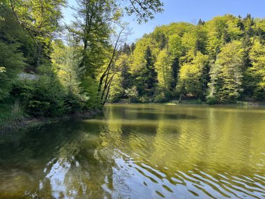 Yapay Trakoscan Gölü (Zagorje, Hırvatistan) - Die - Trakoscan oder kuenstlicher Trakoscansee (Kroatien) - Umjetno jezero ili Trakoscansko jezero (Hrvatsko zagorje, Hrvatska)
