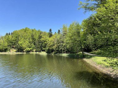 Yapay Trakoscan Gölü (Zagorje, Hırvatistan) - Die - Trakoscan oder kuenstlicher Trakoscansee (Kroatien) - Umjetno jezero ili Trakoscansko jezero (Hrvatsko zagorje, Hrvatska)