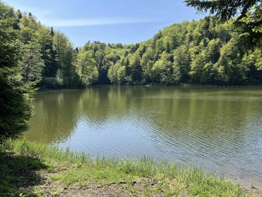 Yapay Trakoscan Gölü (Zagorje, Hırvatistan) - Die - Trakoscan oder kuenstlicher Trakoscansee (Kroatien) - Umjetno jezero ili Trakoscansko jezero (Hrvatsko zagorje, Hrvatska)